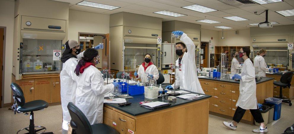 Several Science students working in a laboratory